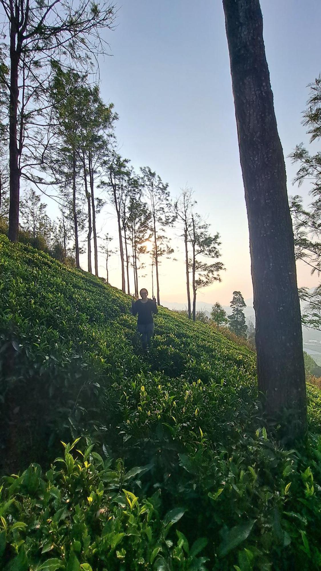 Ghar - Homestay, Where Family Lives Together Aravankadu Экстерьер фото
