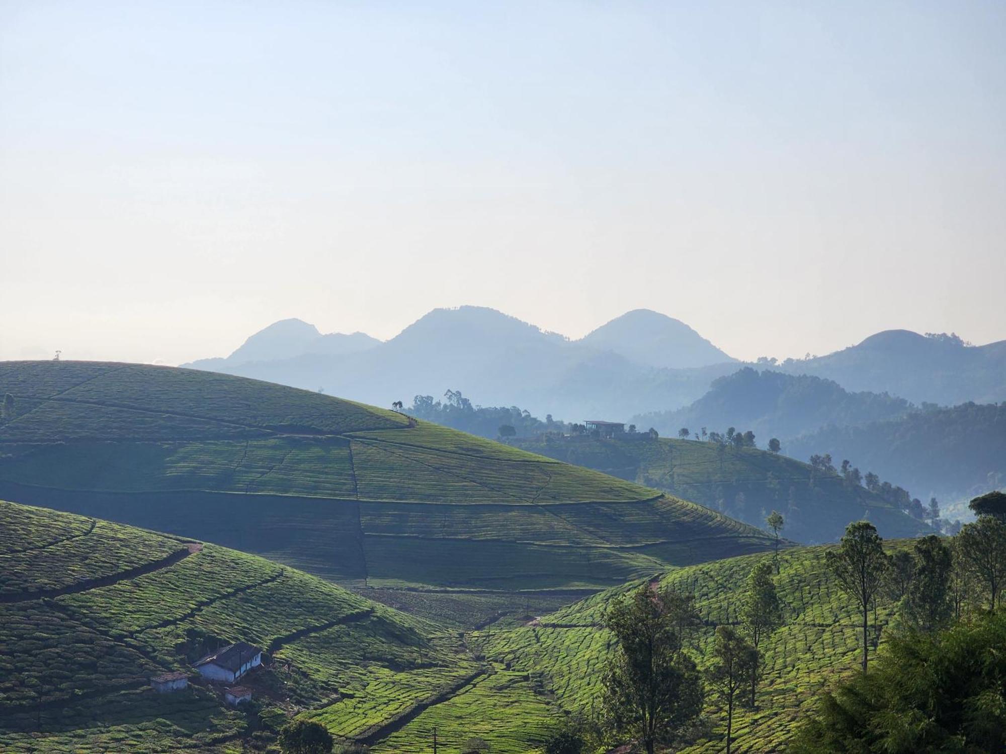 Ghar - Homestay, Where Family Lives Together Aravankadu Экстерьер фото