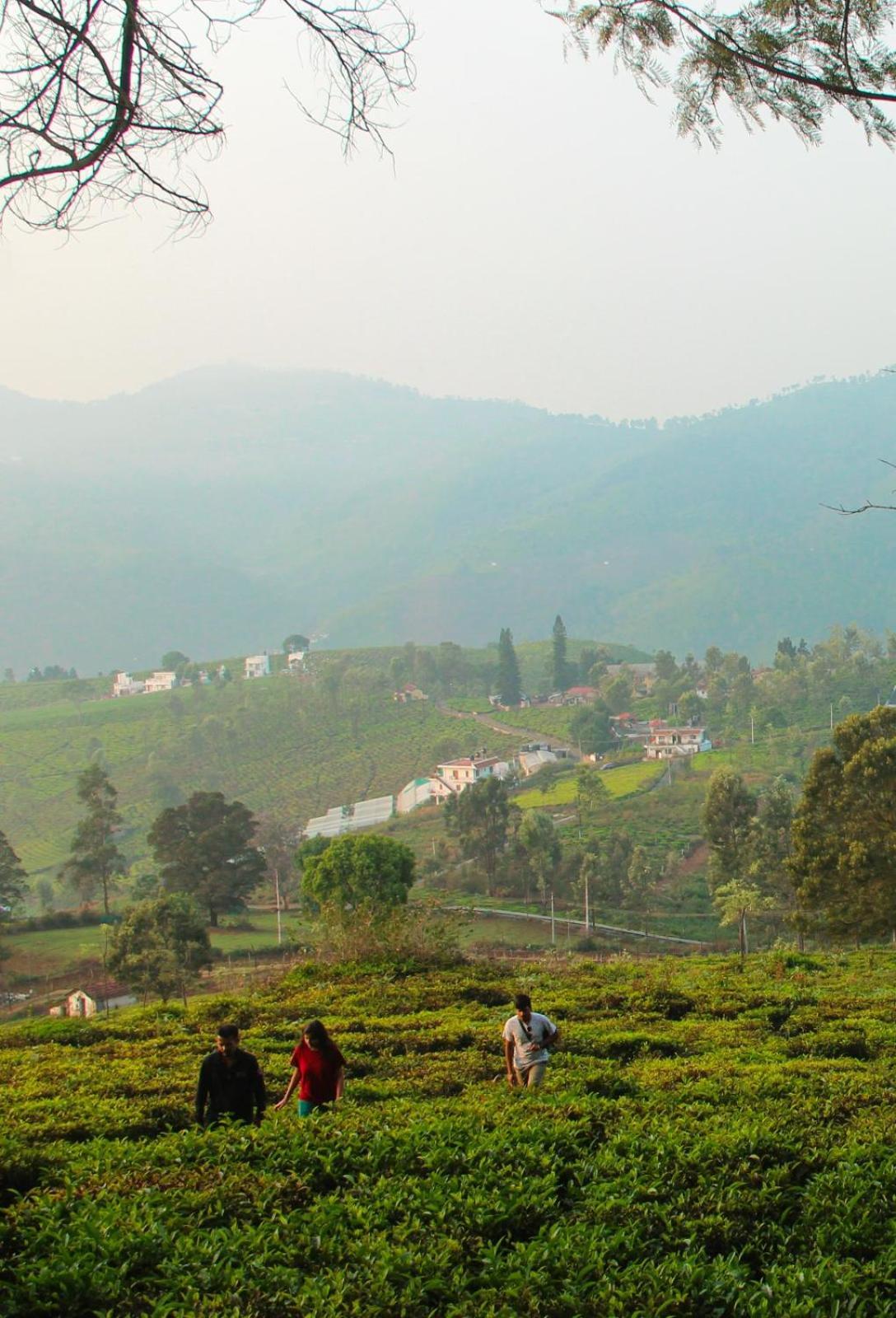 Ghar - Homestay, Where Family Lives Together Aravankadu Экстерьер фото