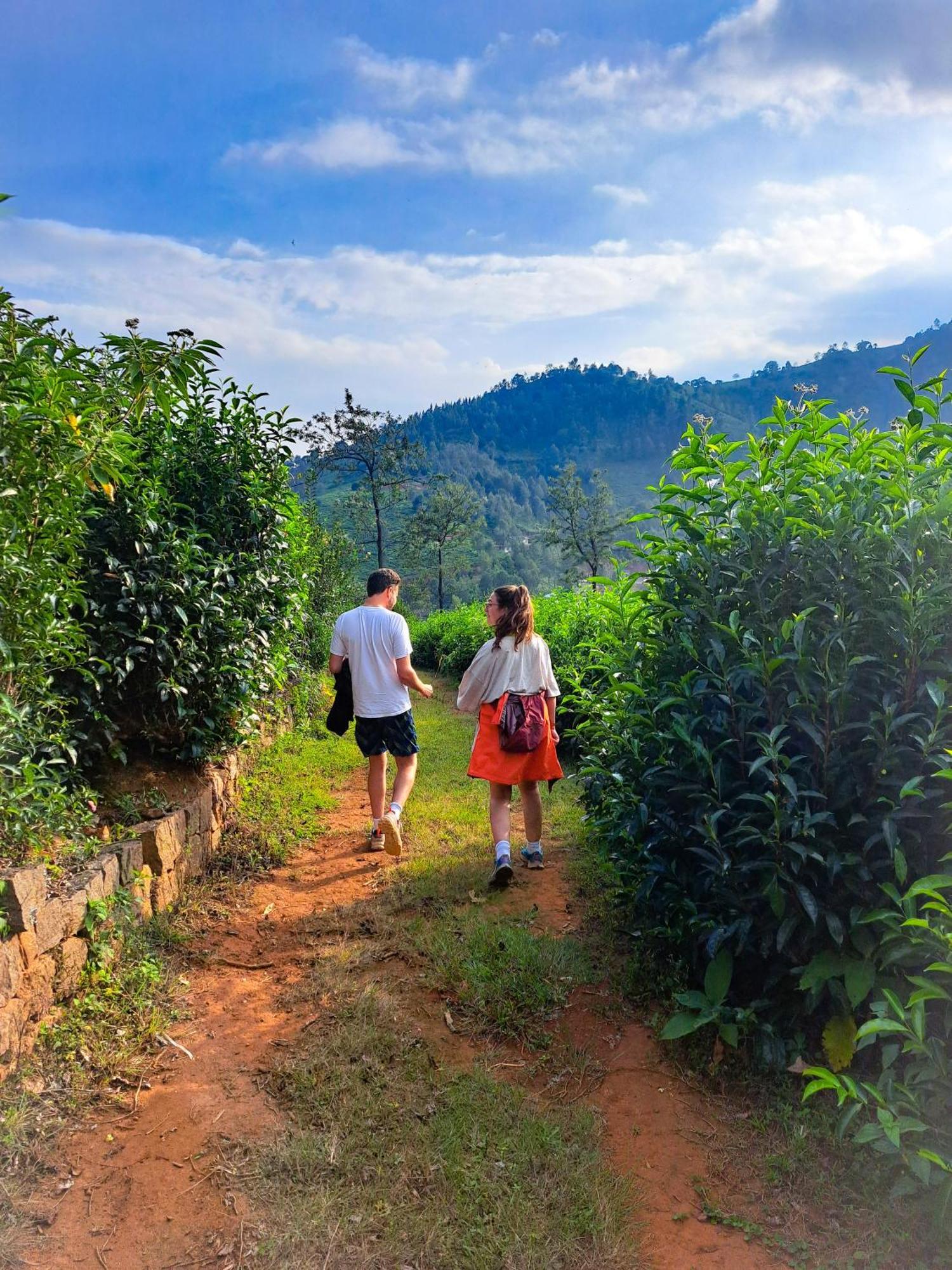 Ghar - Homestay, Where Family Lives Together Aravankadu Экстерьер фото